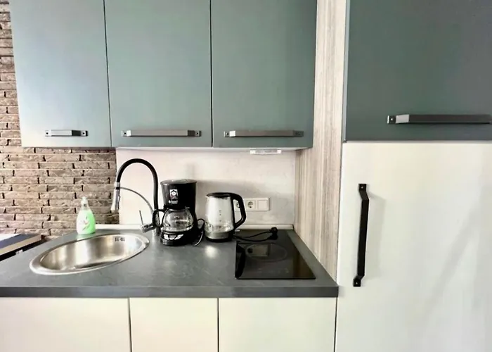 Rosa Appart hôtel Bad Camberg